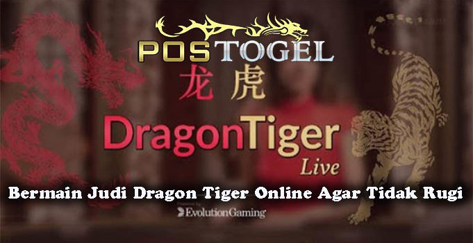 Bermain Judi Dragon Tiger Online Agar Tidak Rugi
